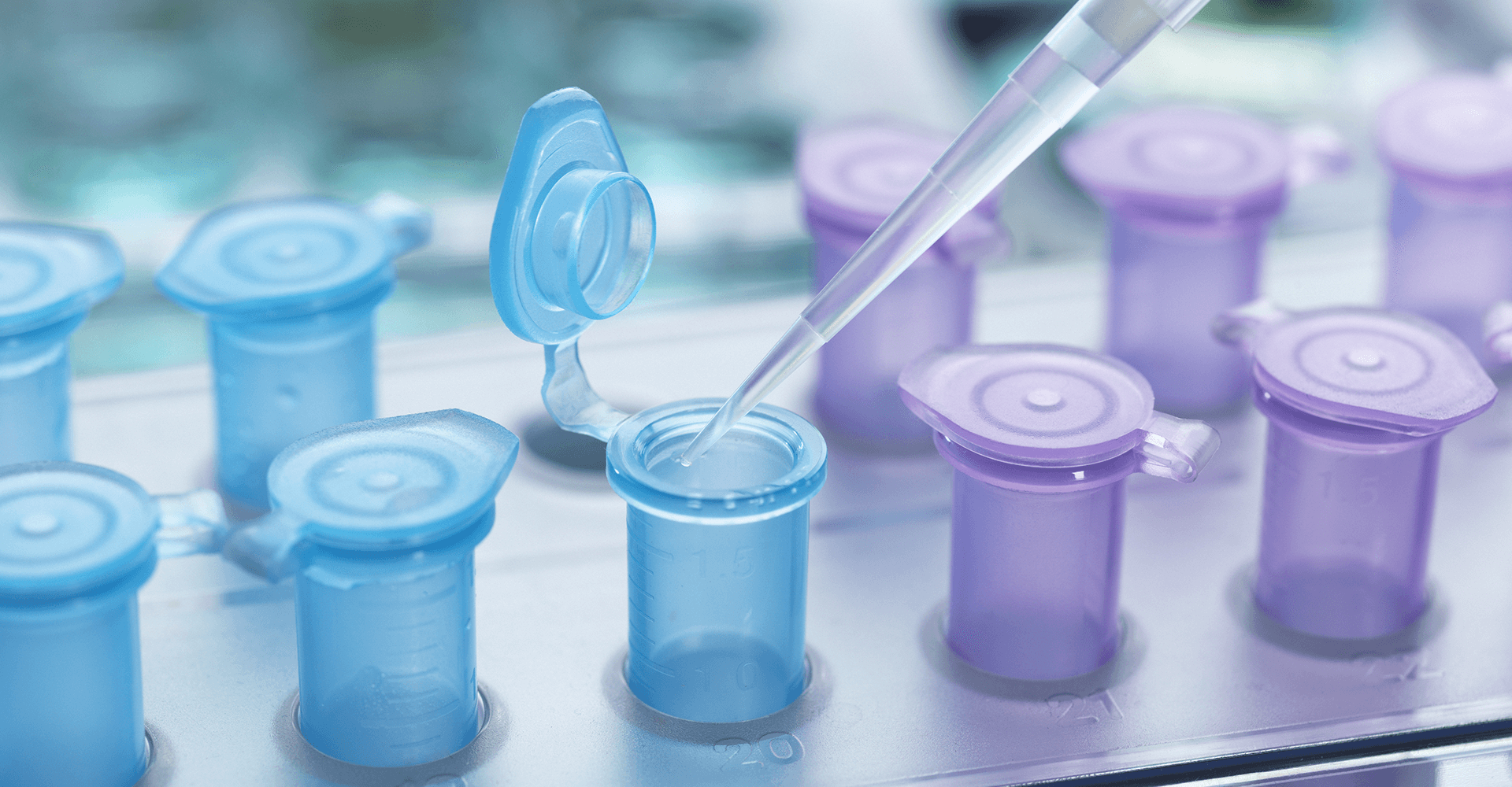 �ۺ��������� 