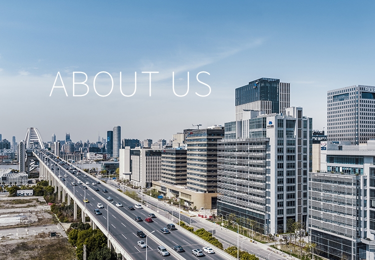 关于bevictor伟德 